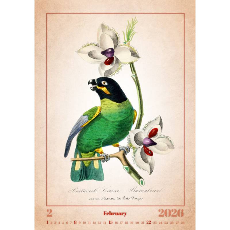 Kalendář Aviarium, 2026 Kalendář Aviarium, 2026