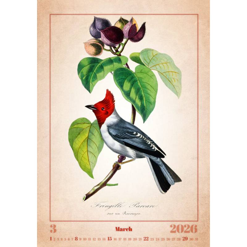 Kalendář Aviarium, 2026 Kalendář Aviarium, 2026