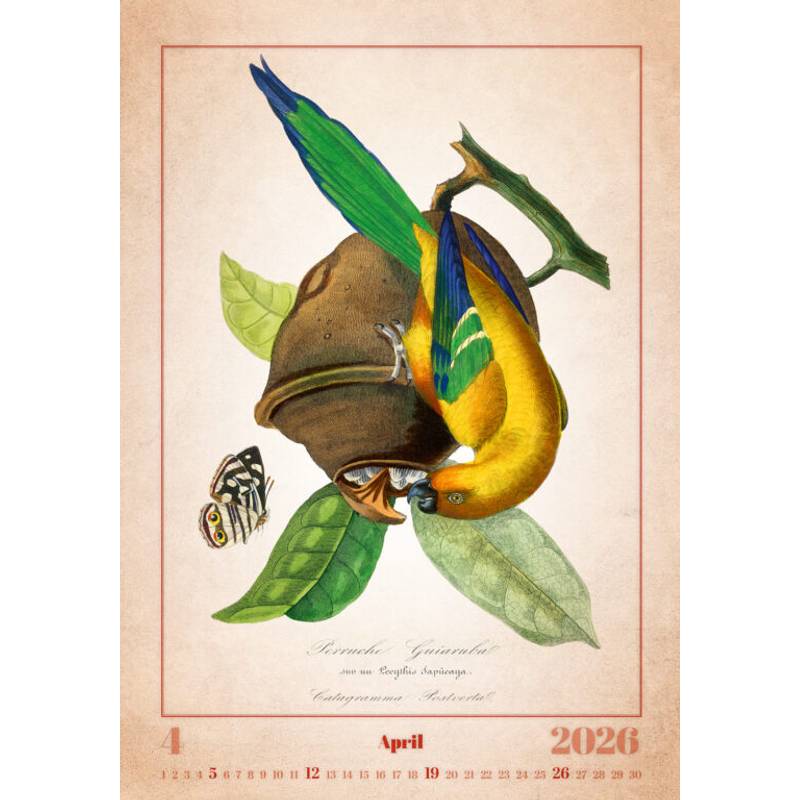 Kalendář Aviarium, 2026 Kalendář Aviarium, 2026