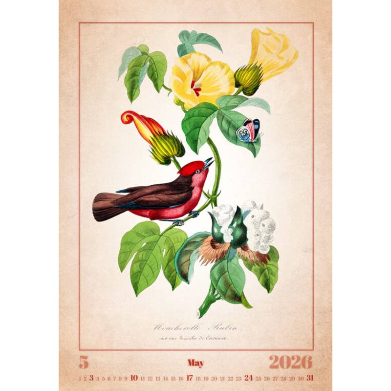 Kalendář Aviarium, 2026 Kalendář Aviarium, 2026