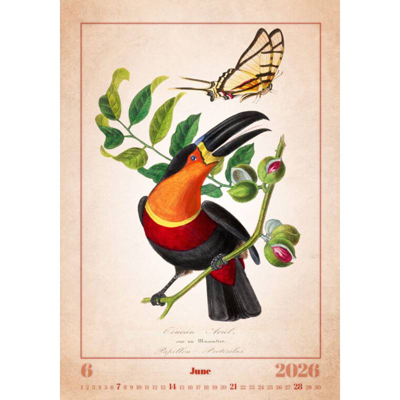 Kalendář Aviarium, 2026 Kalendář Aviarium, 2026