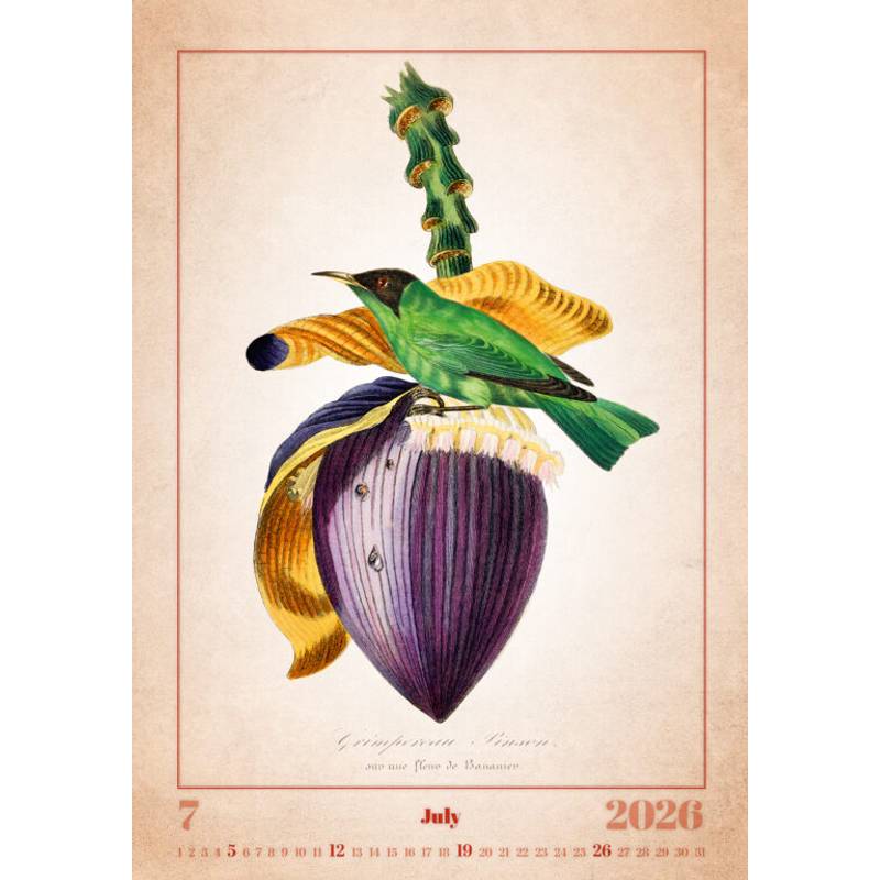 Kalendář Aviarium, 2026 Kalendář Aviarium, 2026