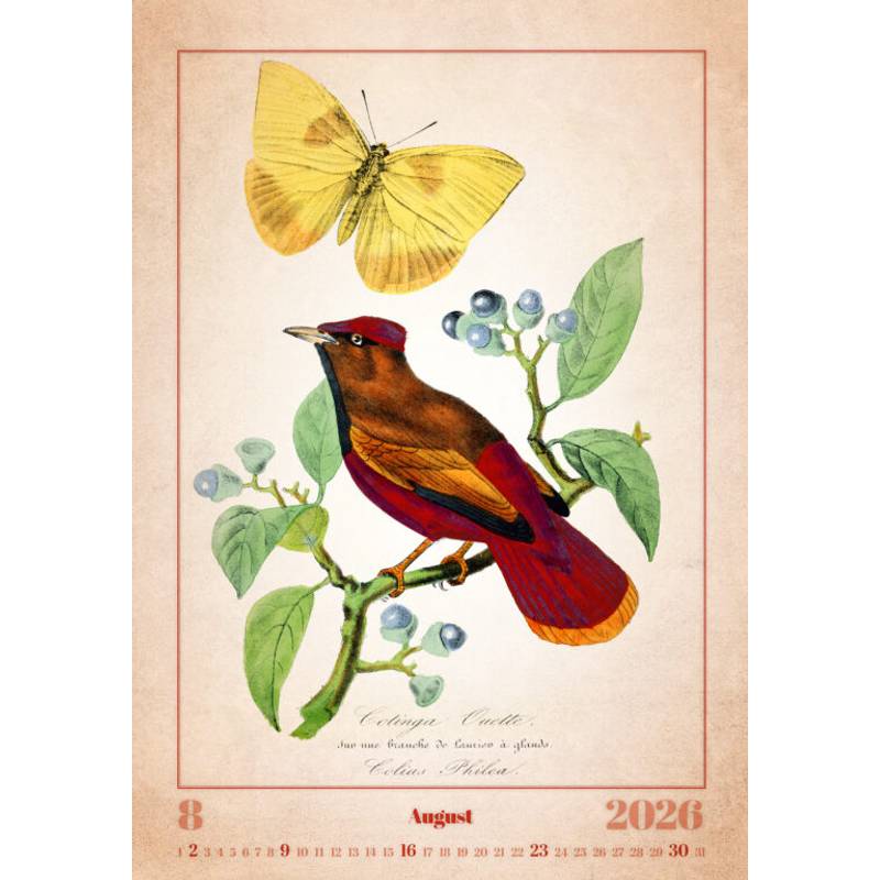 Kalendář Aviarium, 2026 Kalendář Aviarium, 2026