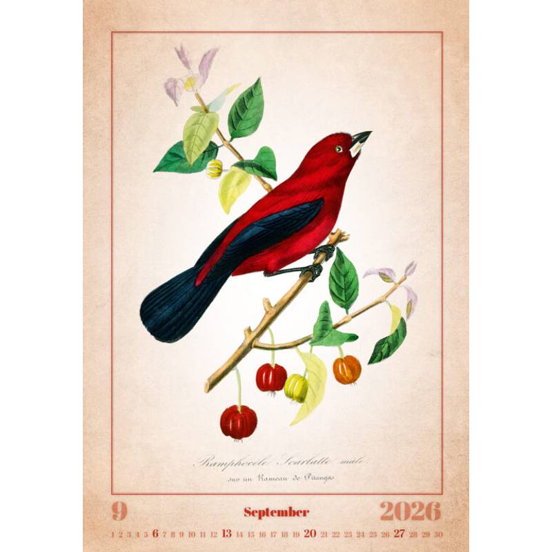 Kalendář Aviarium, 2026 Kalendář Aviarium, 2026