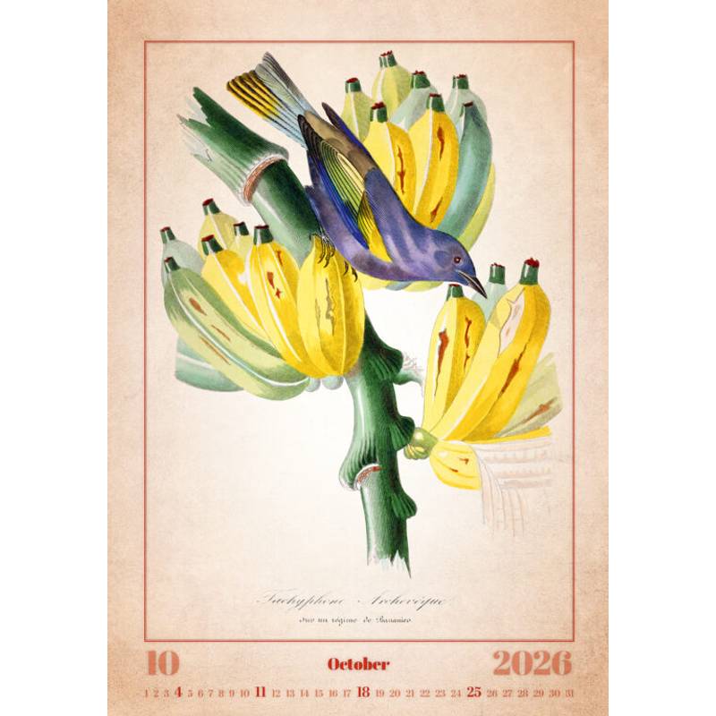 Kalendář Aviarium, 2026 Kalendář Aviarium, 2026