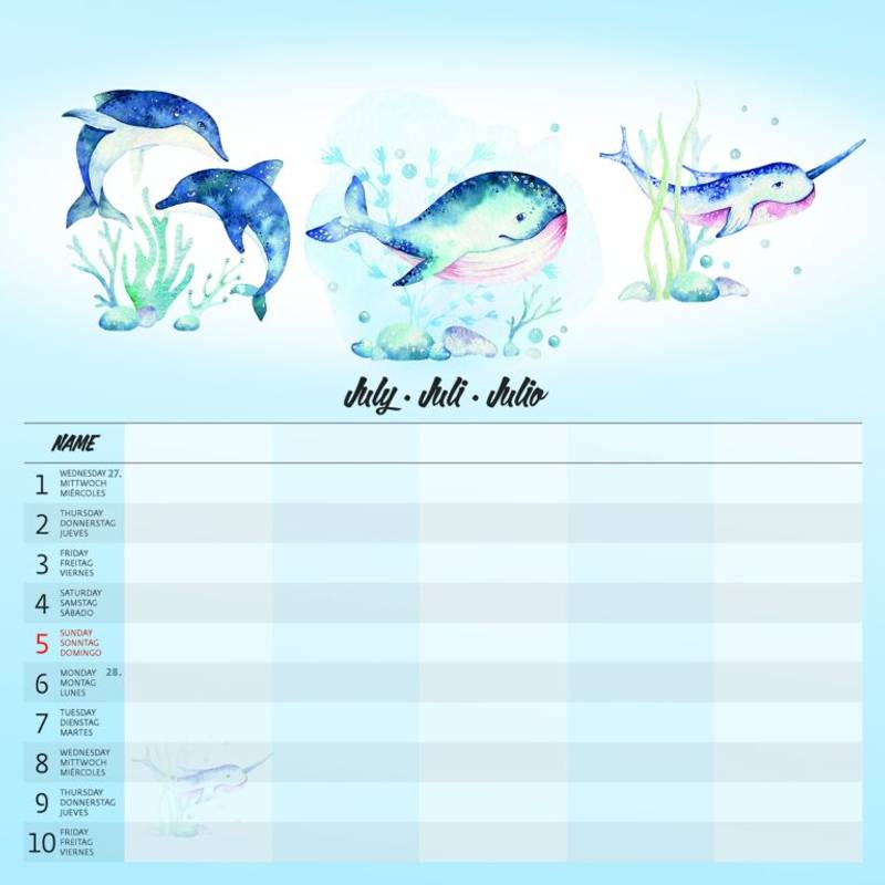 Kalendář Family Planner, 2026 Kalendář Family Planner, 2026