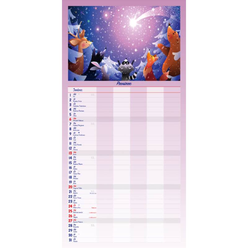 MAXI rodinný plánovač, 2026 MAXI rodinný plánovač, 2026