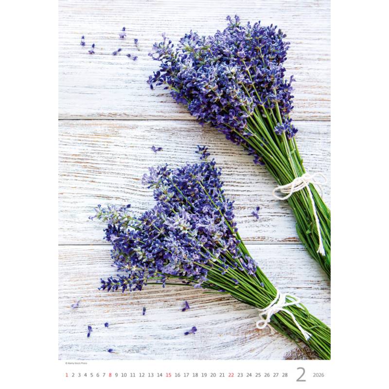 Kalendář Provence, 2026 Kalendář Provence, 2026