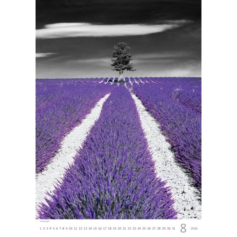 Kalendár Colour Art, 2026 Kalendár Colour Art, 2026