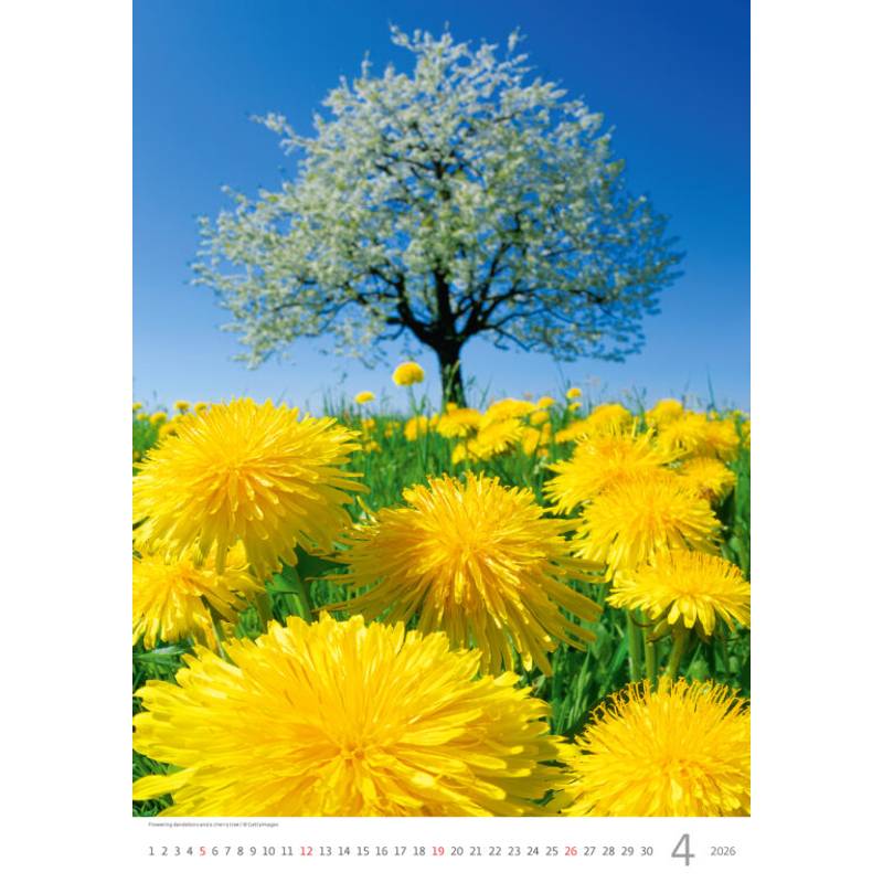 Kalendár Nature Emotions, 2026 Kalendár Nature Emotions, 2026