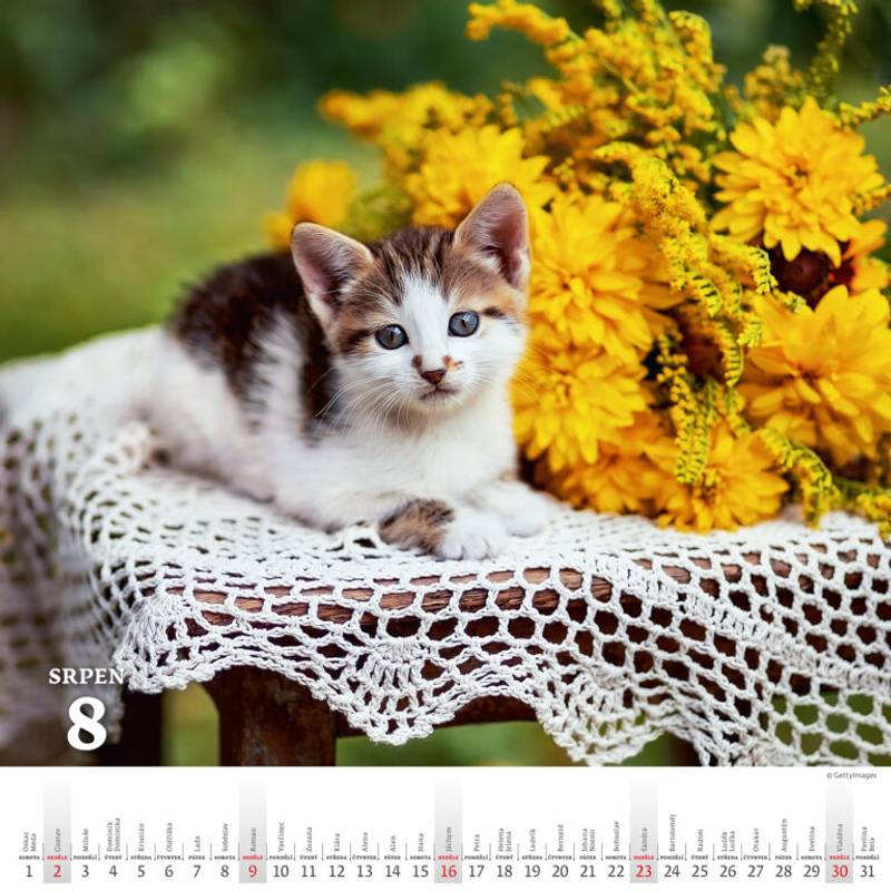 Kalendář Krásy venkova, 2026 Kalendář Krásy venkova, 2026