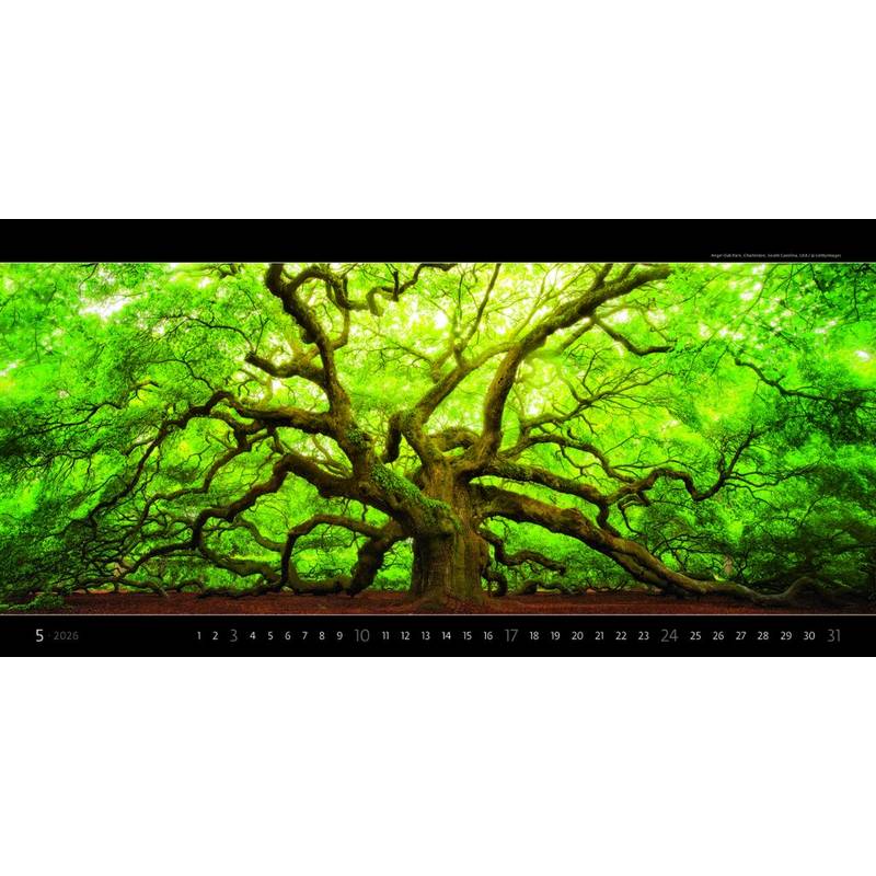 Kalendár Panoramaphoto, 2026 Kalendár Panoramaphoto, 2026