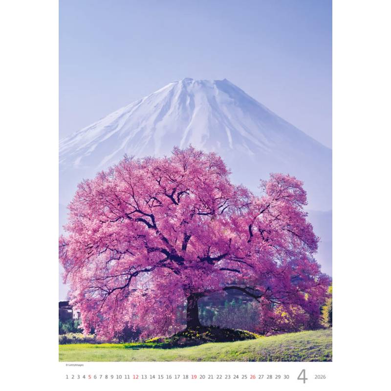 Kalendář Stromy, 2026 Kalendář Stromy, 2026