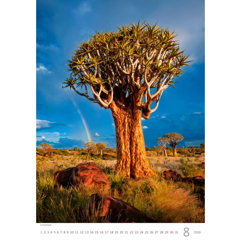 Kalendář Stromy, 2026 Kalendář Stromy, 2026