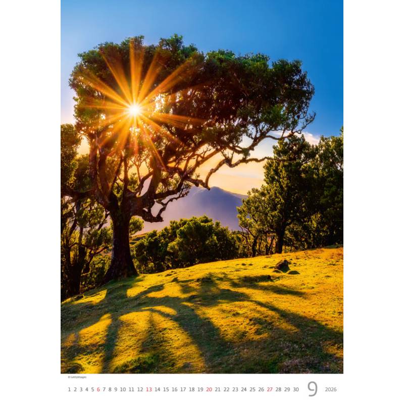 Kalendář Stromy, 2026 Kalendář Stromy, 2026