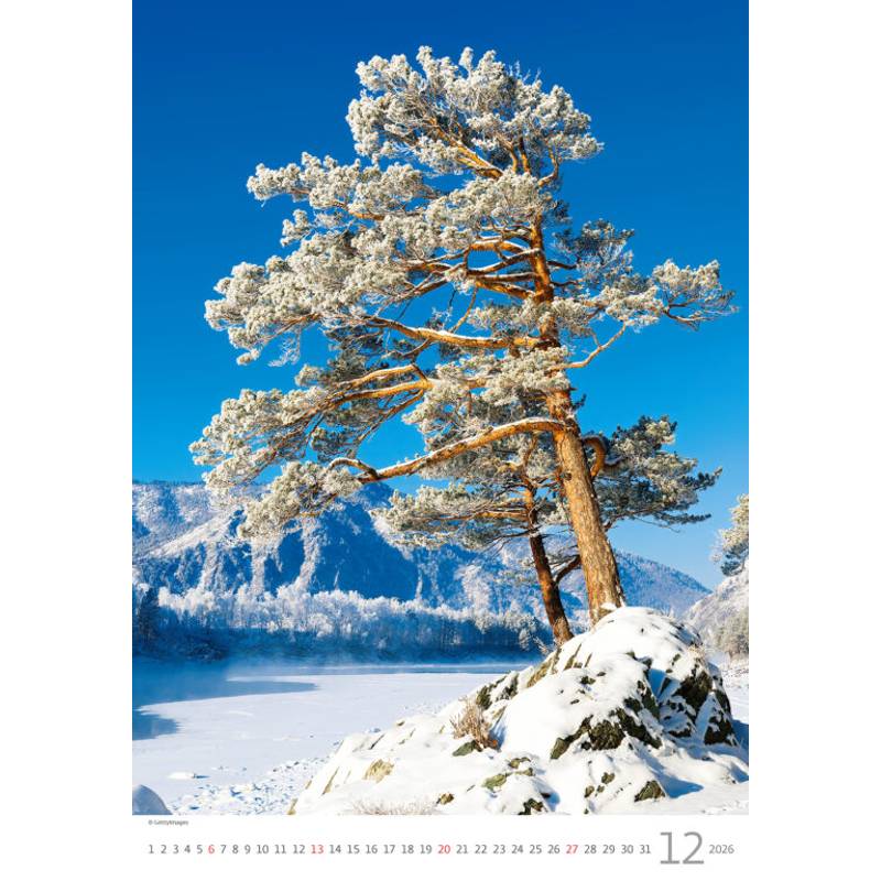 Kalendář Stromy, 2026 Kalendář Stromy, 2026