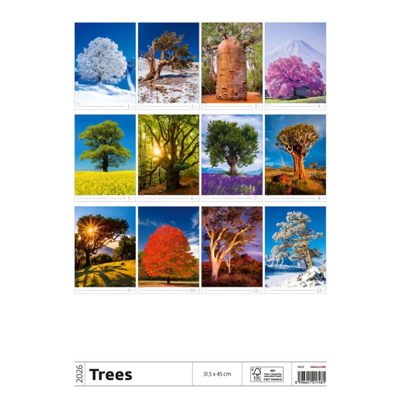 Kalendář Stromy, 2026 Kalendář Stromy, 2026