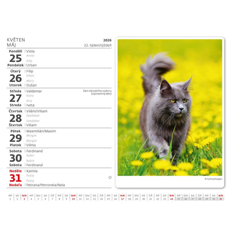 Kalendár Mačičky, 2026 Kalendár Mačičky, 2026