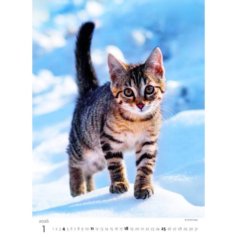 Kalendář Koťátka, 2026 Kalendář Koťátka, 2026