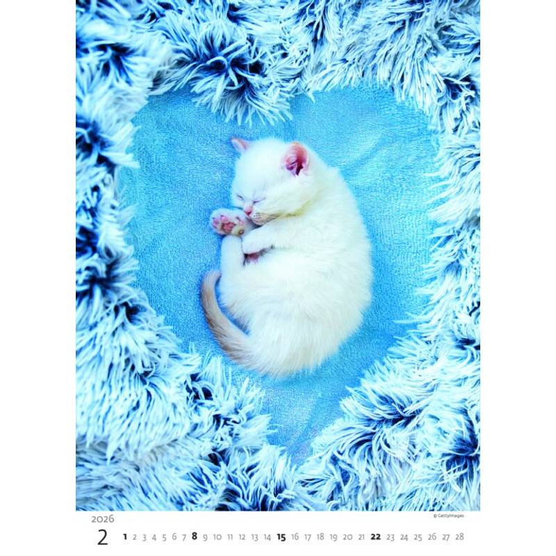Kalendář Koťátka, 2026 Kalendář Koťátka, 2026