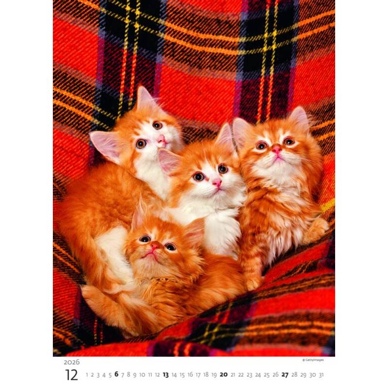 Kalendář Koťátka, 2026 Kalendář Koťátka, 2026