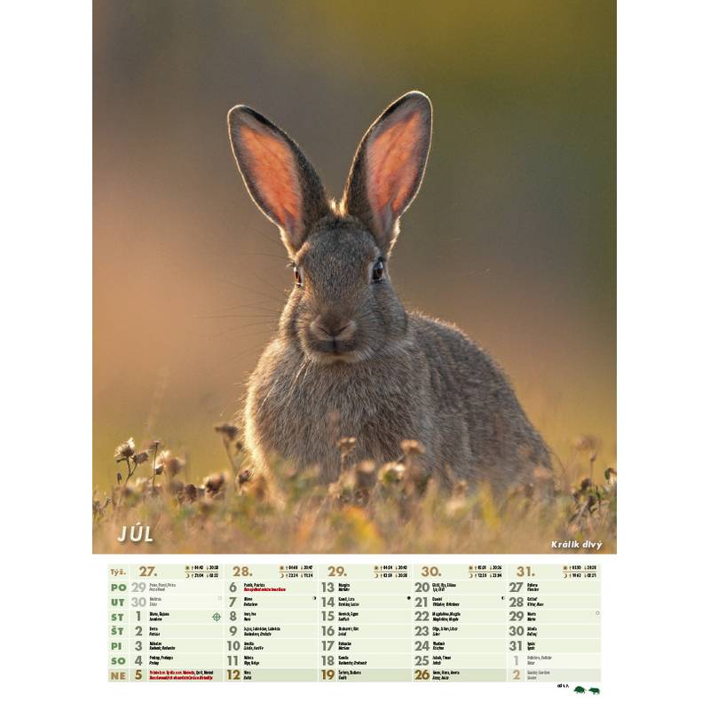 Nástenný kalendár POĽOVNÍK 2026 Nástenný kalendár POĽOVNÍK 2026
