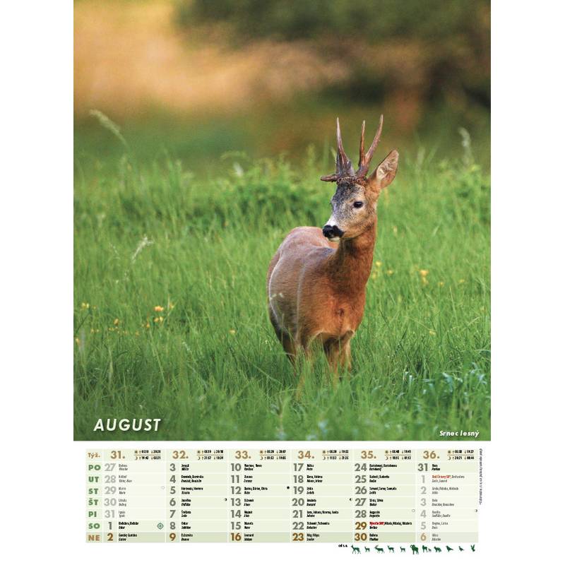 Nástenný kalendár POĽOVNÍK 2026 Nástenný kalendár POĽOVNÍK 2026