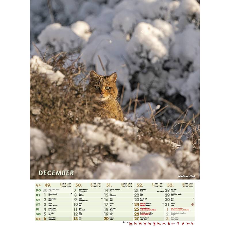 Nástenný kalendár POĽOVNÍK 2026 Nástenný kalendár POĽOVNÍK 2026