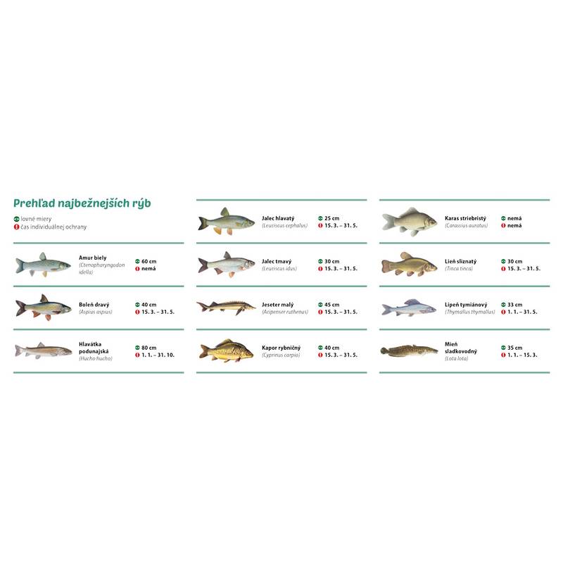 Stolový kalendár Rybársky 2026 Stolový kalendár Rybársky 2026