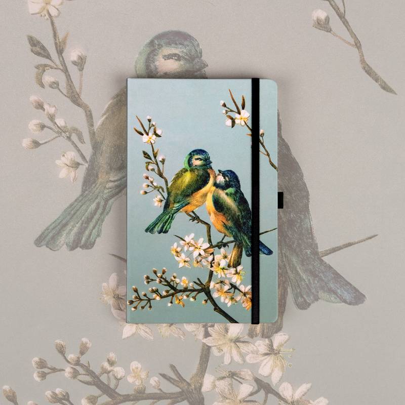 NOTIQUE Notes Vtáci Kateřiny Winterové, bodkovaný, 13 x 21 cm NOTIQUE Notes Vtáci Kateřiny Winterové, bodkovaný, 13 x 21 cm