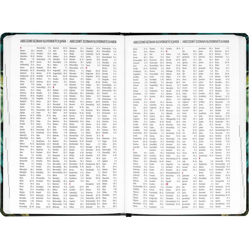 NOTIQUE Špirálový 18-mesačný diár Petito – Monstera 2025/2026, 11 x 17 cm NOTIQUE Špirálový 18-mesačný diár Petito – Monstera 2025/2026, 11 x 17 cm