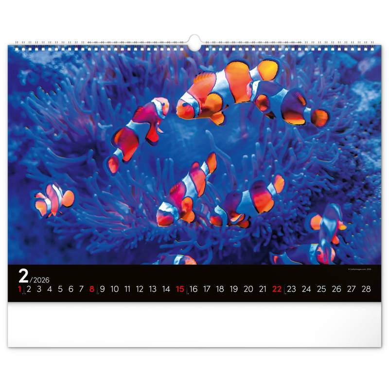 NOTIQUE Nástěnný kalendář Podmořský svět 2026, 48 x 33 cm NOTIQUE Nástěnný kalendář Podmořský svět 2026, 48 x 33 cm