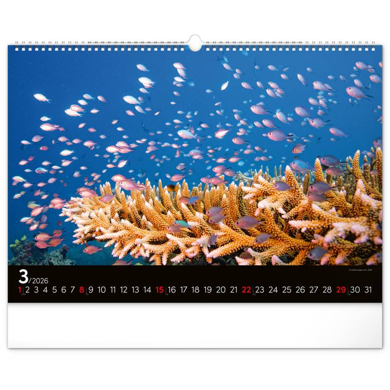 NOTIQUE Nástěnný kalendář Podmořský svět 2026, 48 x 33 cm NOTIQUE Nástěnný kalendář Podmořský svět 2026, 48 x 33 cm