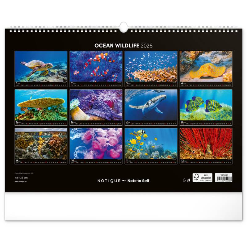 NOTIQUE Nástěnný kalendář Podmořský svět 2026, 48 x 33 cm NOTIQUE Nástěnný kalendář Podmořský svět 2026, 48 x 33 cm