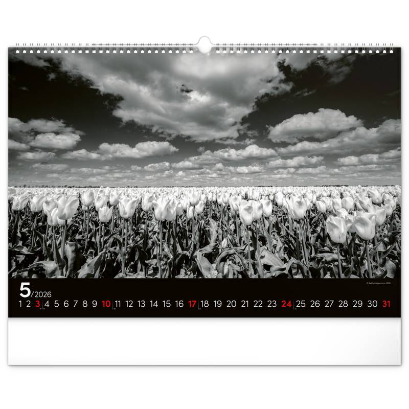 NOTIQUE Nástěnný kalendář Snová krajina 2026, 48 x 33 cm NOTIQUE Nástěnný kalendář Snová krajina 2026, 48 x 33 cm