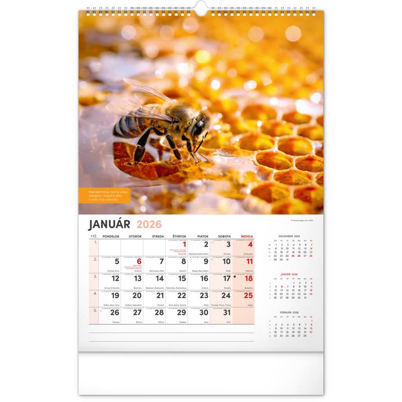 NOTIQUE Nástenný Včelársky kalendár 2026, 33 x 46 cm NOTIQUE Nástenný Včelársky kalendár 2026, 33 x 46 cm