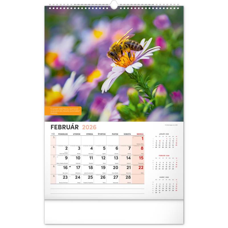 NOTIQUE Nástenný Včelársky kalendár 2026, 33 x 46 cm NOTIQUE Nástenný Včelársky kalendár 2026, 33 x 46 cm