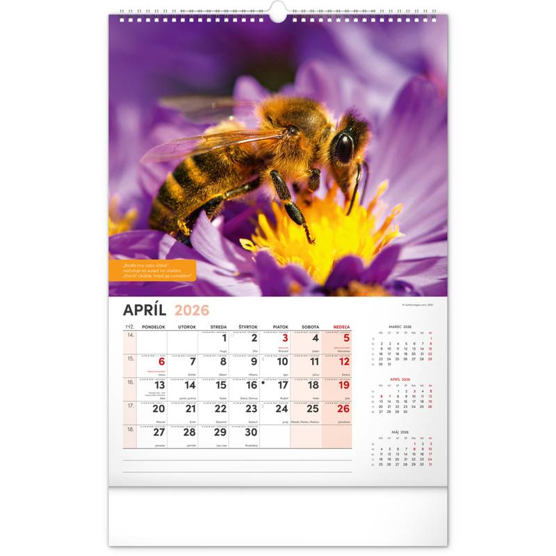 NOTIQUE Nástenný Včelársky kalendár 2026, 33 x 46 cm NOTIQUE Nástenný Včelársky kalendár 2026, 33 x 46 cm