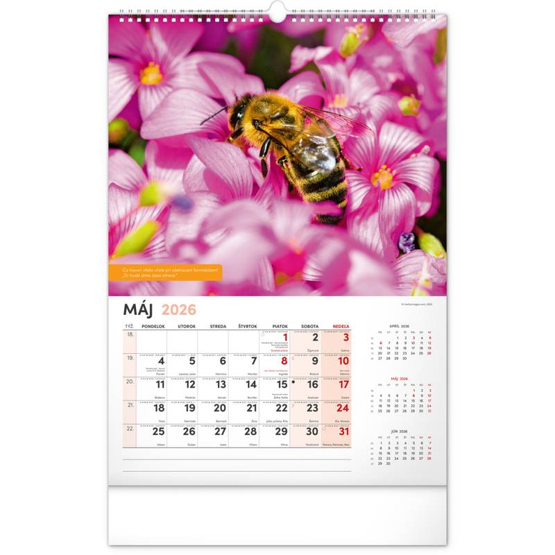 NOTIQUE Nástenný Včelársky kalendár 2026, 33 x 46 cm NOTIQUE Nástenný Včelársky kalendár 2026, 33 x 46 cm