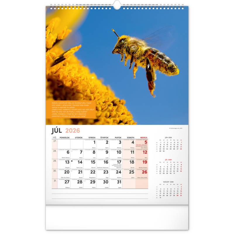 NOTIQUE Nástenný Včelársky kalendár 2026, 33 x 46 cm NOTIQUE Nástenný Včelársky kalendár 2026, 33 x 46 cm