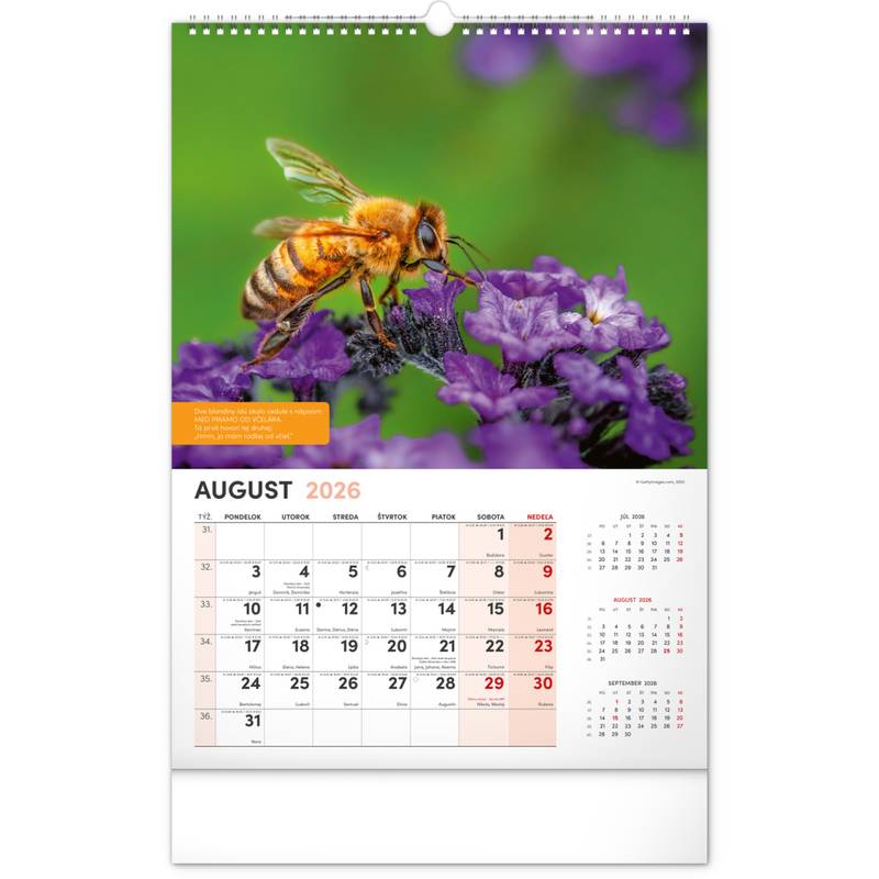 NOTIQUE Nástenný Včelársky kalendár 2026, 33 x 46 cm NOTIQUE Nástenný Včelársky kalendár 2026, 33 x 46 cm