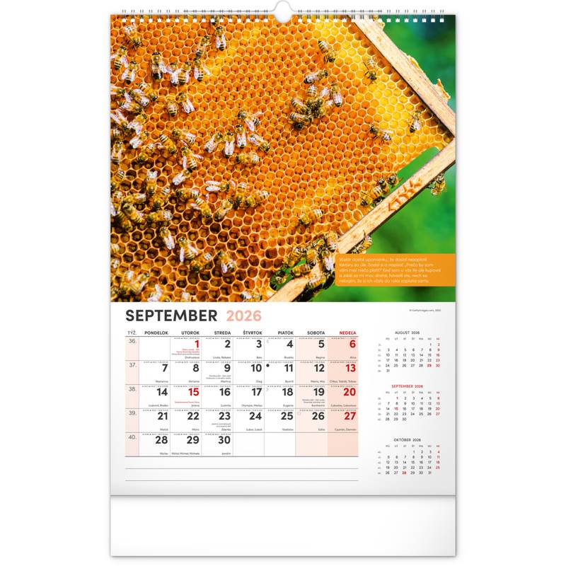 NOTIQUE Nástenný Včelársky kalendár 2026, 33 x 46 cm NOTIQUE Nástenný Včelársky kalendár 2026, 33 x 46 cm