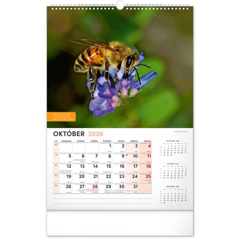 NOTIQUE Nástenný Včelársky kalendár 2026, 33 x 46 cm NOTIQUE Nástenný Včelársky kalendár 2026, 33 x 46 cm