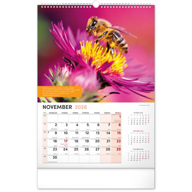 NOTIQUE Nástenný Včelársky kalendár 2026, 33 x 46 cm NOTIQUE Nástenný Včelársky kalendár 2026, 33 x 46 cm