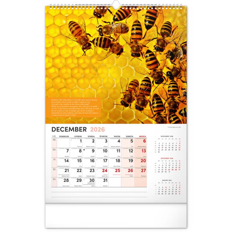 NOTIQUE Nástenný Včelársky kalendár 2026, 33 x 46 cm NOTIQUE Nástenný Včelársky kalendár 2026, 33 x 46 cm