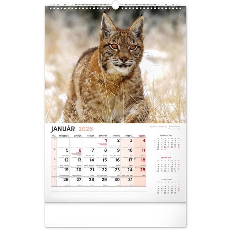 NOTIQUE Nástenný kalendár Poľovnícky 2026, 33 x 46 cm NOTIQUE Nástenný kalendár Poľovnícky 2026, 33 x 46 cm