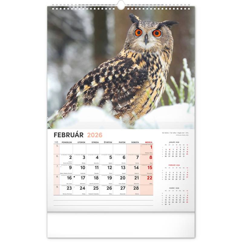 NOTIQUE Nástenný kalendár Poľovnícky 2026, 33 x 46 cm NOTIQUE Nástenný kalendár Poľovnícky 2026, 33 x 46 cm