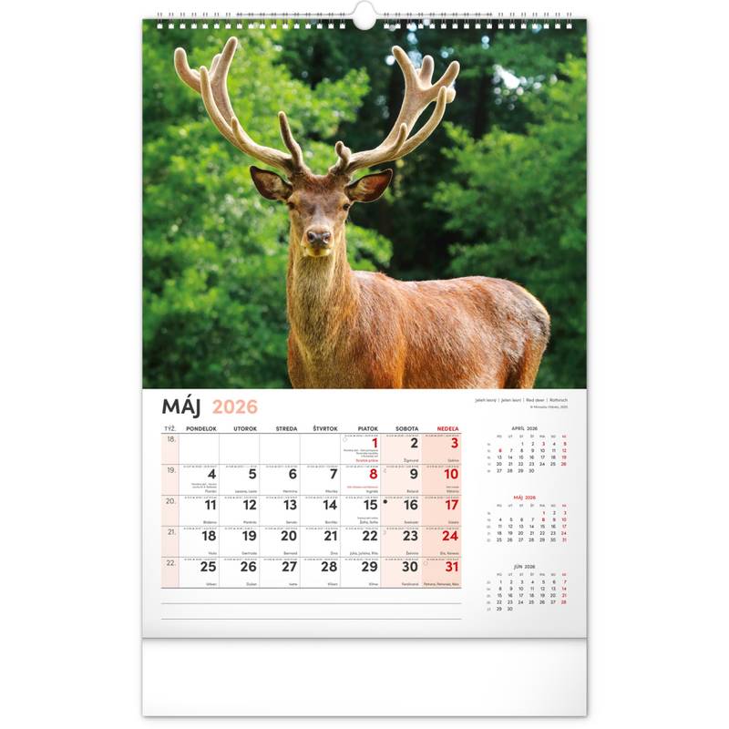 NOTIQUE Nástenný kalendár Poľovnícky 2026, 33 x 46 cm NOTIQUE Nástenný kalendár Poľovnícky 2026, 33 x 46 cm