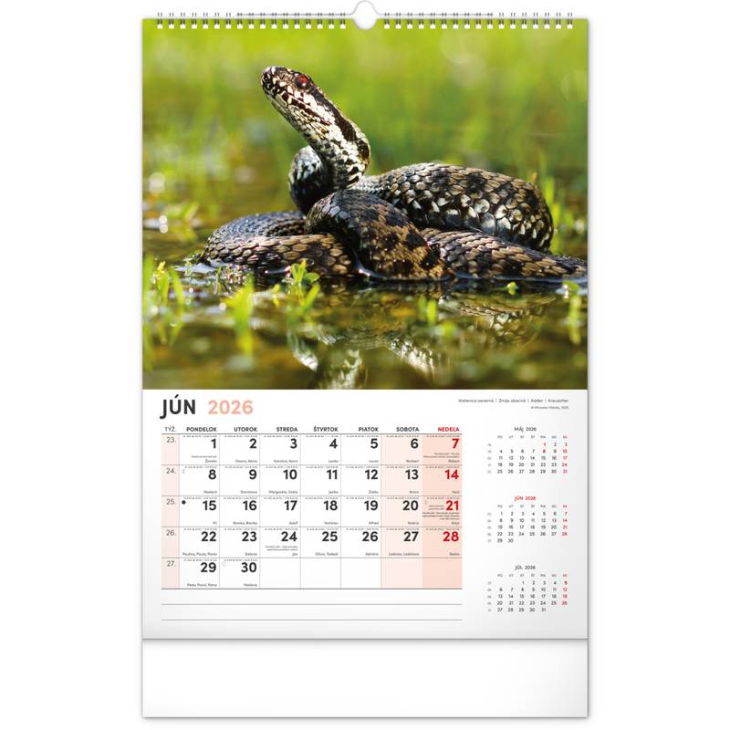 NOTIQUE Nástenný kalendár Poľovnícky 2026, 33 x 46 cm NOTIQUE Nástenný kalendár Poľovnícky 2026, 33 x 46 cm