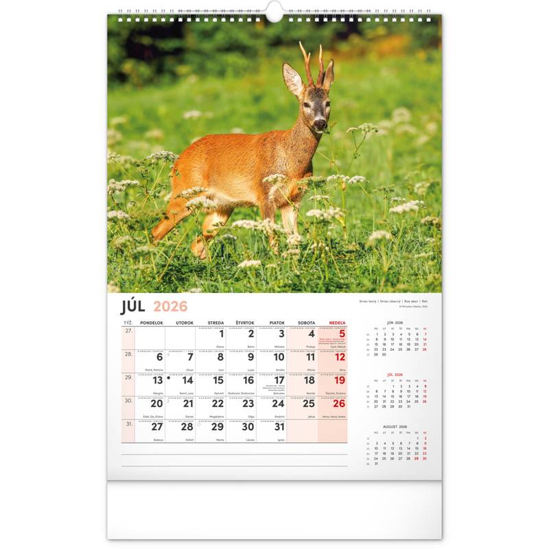 NOTIQUE Nástenný kalendár Poľovnícky 2026, 33 x 46 cm NOTIQUE Nástenný kalendár Poľovnícky 2026, 33 x 46 cm